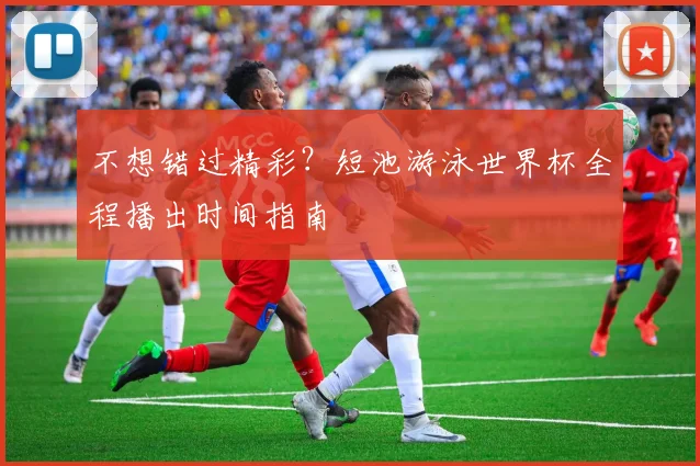 不想错过精彩？短池游泳世界杯全程播出时间指南