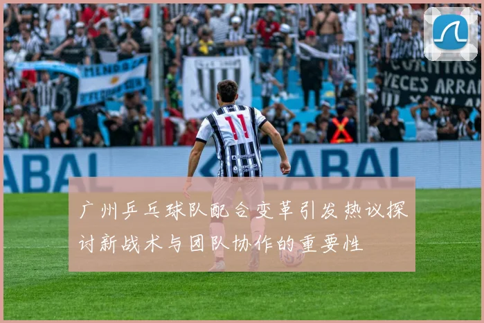 广州乒乓球队配合变革引发热议探讨新战术与团队协作的重要性