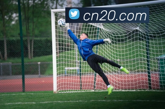 奖项图2